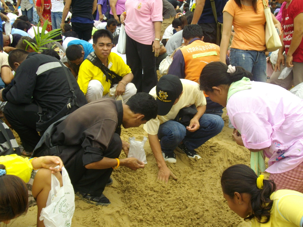 Royal Ploughing Ceremony - photo via Wikimedia