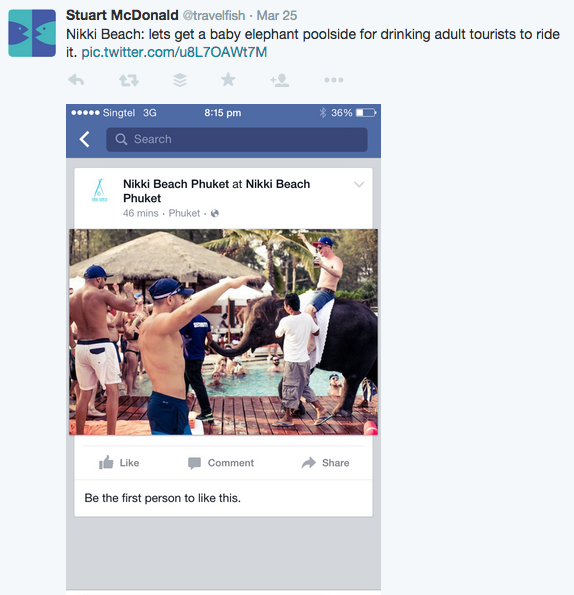 Tweet showing photo of elephant abuse at Nikki Beach Phuket