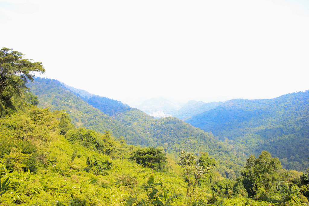 Khao Yai, Thailand - photo by Wat Coothong