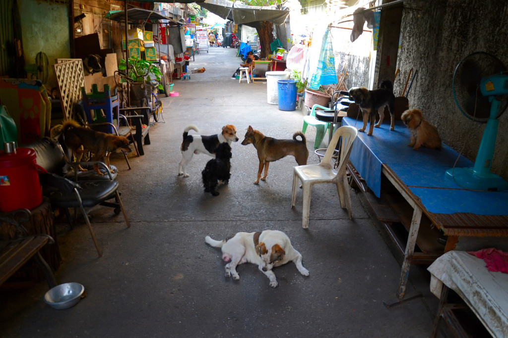 Banglamphu, Bangkok - photo by Aapo Haapanen