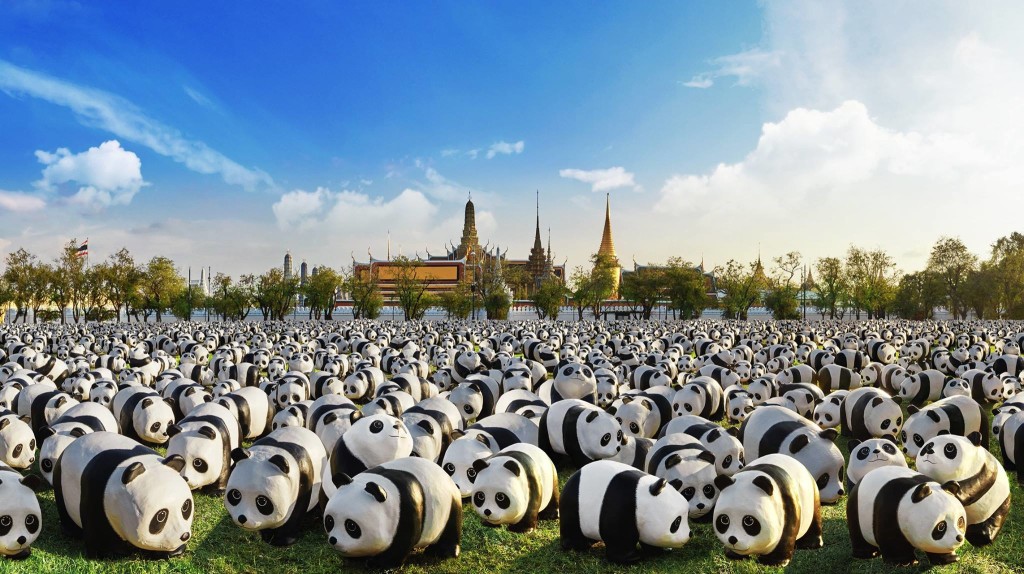 1600 Pandas+ tour in Bangkok, Thailand - photo by 1600 Pandas+