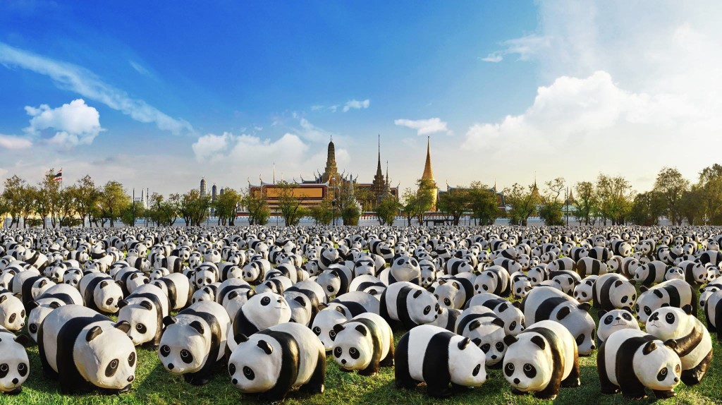 1600 Pandas+ tour in Bangkok, Thailand - photo by 1600 Pandas+