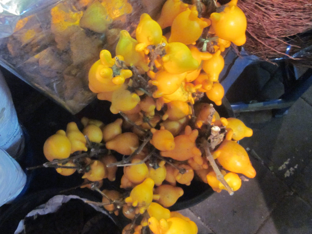 Pak Khlong Talat flower market in Bangkok, Thailand - photo by Chris Wotton