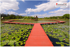 Lotus park image