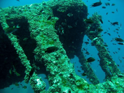 King Cruiser wreck image