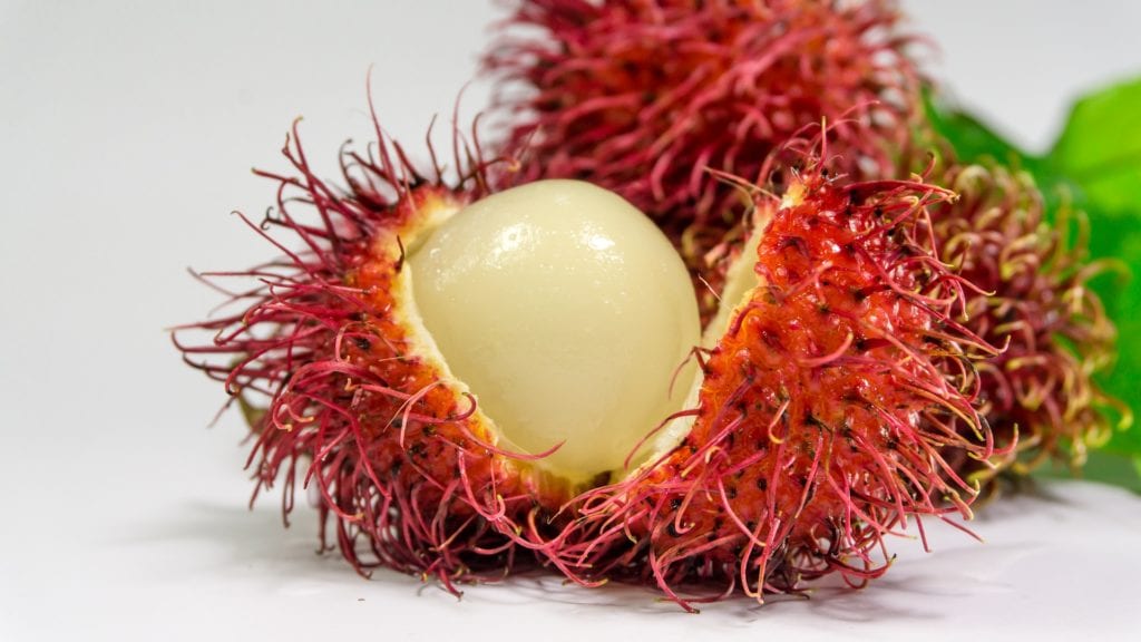 Image of a peeled rambutan showing its white flesh