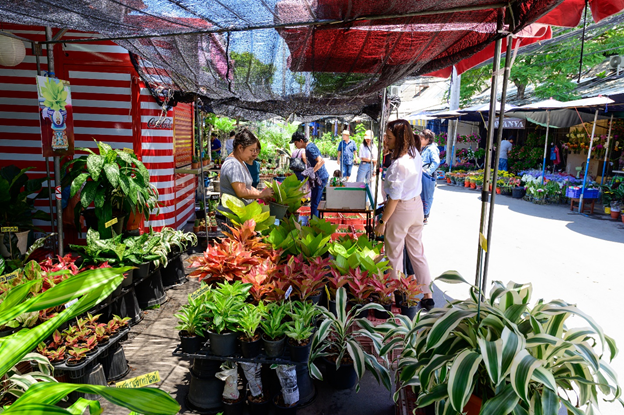 Chatuchak plant market