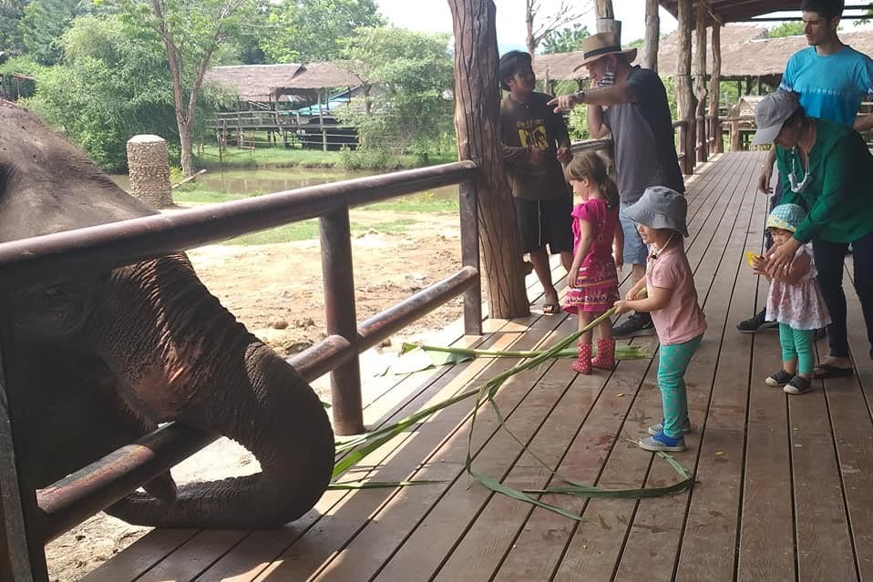 Visiting Elephants World in Kanchanaburi