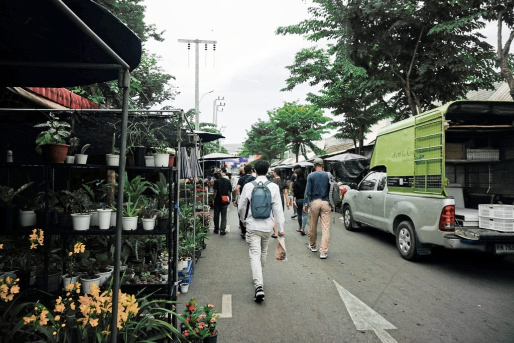 Chatuchak Plant Market