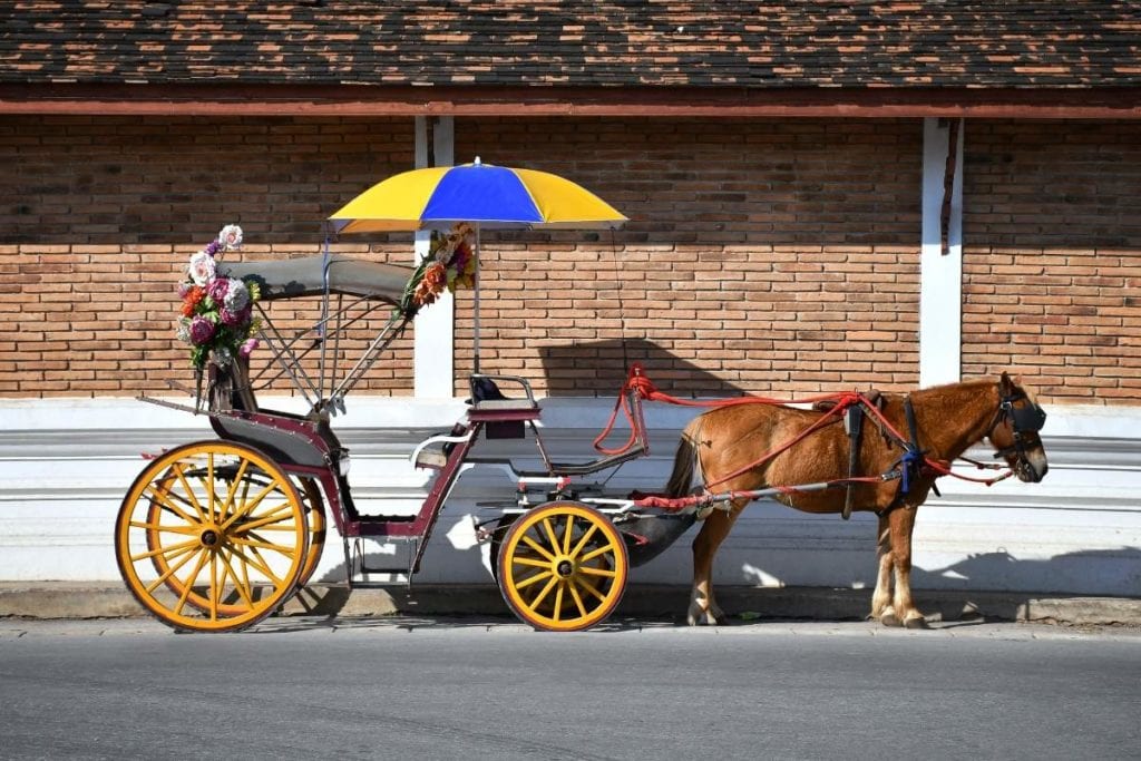 Horse and Cart Ride in Lampang