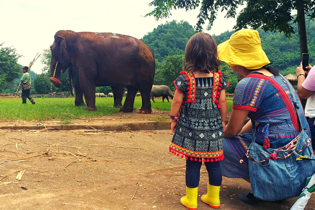 Watching elephants at Elephant Nayure {ark